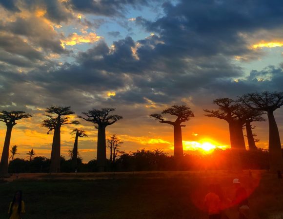 TOURS OF MADAGASCAR 12 DAYS