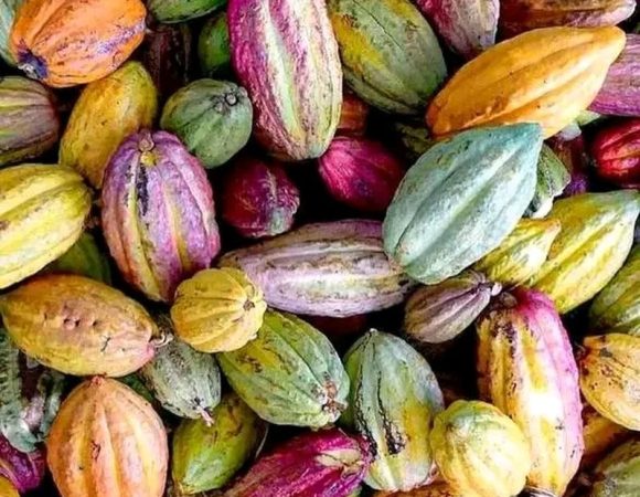 NORTH OF MADAGASCAR TOURS 6 DAYS